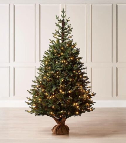 Norway Christmas Tree - Image 1